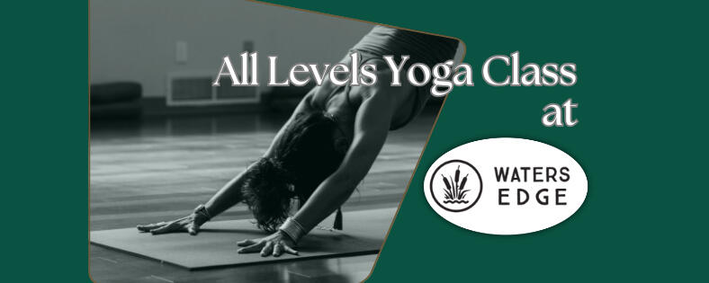 Raw Emerald Yoga Studio